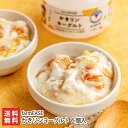 干し柿入ヨーグルト かきリンヨーグルト 6個入(1個あたり250g)farmEASE 新潟県産 生産者直送 送料無料【新潟直送計画 佐渡生乳100% 佐渡乳業 ...