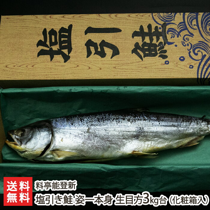 塩引き鮭 姿一本身 生目方3kg台（化粧箱入り） 料亭能登新 新潟県産 生産者直送 送料無料【新潟直送計画 さけ しゃけ サケ 村上名物 寒風干し おつまみ おかず 尾頭付き】