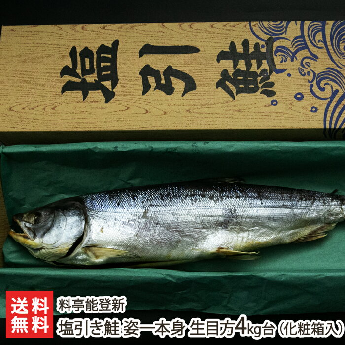 塩引き鮭 姿一本身 生目方4kg台（化粧箱入り） 料亭能登新 新潟県産 生産者直送 送料無料【新潟直送計画 さけ しゃけ サケ 村上名物 寒風干し おつまみ おかず 尾頭付き】