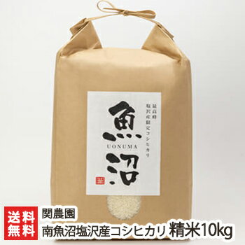 【令和5年度米】南魚沼 塩沢産コシヒカリ 精米10kg 関農