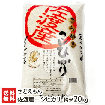 【令和3年度米】新潟 佐渡産コシヒカリ 精米20kg（5kg×4）さどえもん【こしひかり/新潟産/新潟県産】【送料無料】