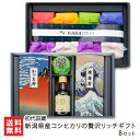令和6年度米 新潟県産コシヒカリの贅沢リッチギフト Bセット (新潟県産コシヒカリ 2合 ×8パック, 焼海苔, 鰹節, のり佃煮, たま飯醤油) 初代田蔵 魚...