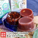 老舗あんこ屋の水ようかん 9個入(こしあん×3個・栗入りこしあん×3個・かのこ×3個)いろはや製餡所 甘味処餡庵【羊羹/みずようかん/和菓子】【お土産/手土産/...