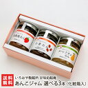 あんこジャム 選べる3本(化粧箱入り)(1本あたり150g)※味をお選びください いろはや製餡所 甘味処餡庵【こしあん/小倉あん/越後姫あん/ルレクチェあん/さ...