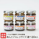 あんこジャム 小サイズ 選べる6本入り(1本あたり80g)※味をお選びください いろはや製餡所 甘味処餡庵 生産者直送 送料無料【こしあん 小倉あん 越後姫あん...