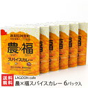 農×福スパイスカレー 6パック入り LAGOON cafe 生産者直送【レトルト/惣菜/手軽/阿賀町室谷地区/新潟産】【お土産/手土産/プレゼント/..