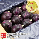 丸なす「越の丸茄子」1箱（1箱あたり9玉入）JAひすい【新潟産/糸魚川産/ナス/なす/丸なす】【お土 ...