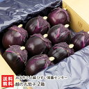 丸なす「越の丸茄子」2箱（1箱あたり9玉入）JAひすい【新潟産/糸魚川産/ナス/なす/丸なす】【お土産/手土産/ギフトに！贈り物】【送料無料】