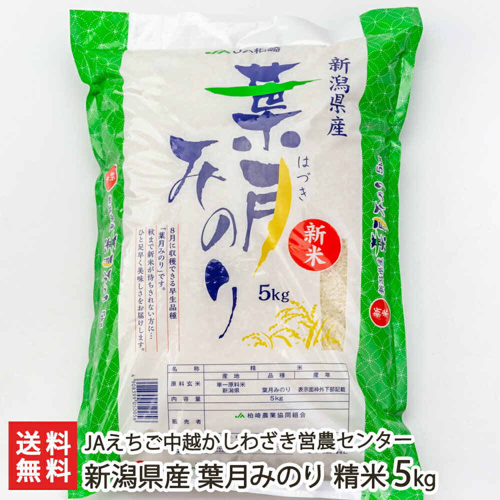 【令和5年度米】新潟県産 葉月みのり 精米5kg JAえちご中越かしわざき営農センター 産地直送【はづきみのり/極早生/ライス/白米】【お土産/手土産/プレゼント/ギフトに！贈り物】【送料無料】 父の日 お中元のサムネイル