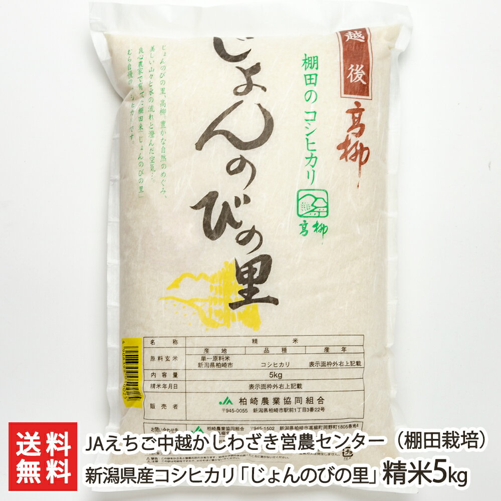 新潟県産コシヒカリ「じょんのびの里」精米5kg JAえちご中越かしわざき営農センター 産地直送 送料無料【新潟直送計画 こしひかり 白米 新潟県産】 父の日 お中元