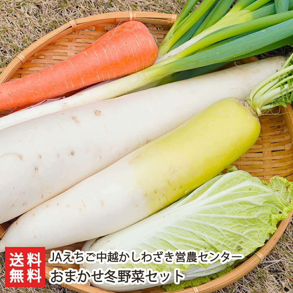 おまかせ冬野菜セット（野菜5～8種） JAえちご中越かしわざき営農センター【新潟直送計画/農家こだわり/朝採り/詰め合わせ/サラダ/炒め物】【お土産/手土産/プレゼント/ギフトに！贈り物】【送料無料】 父の日 お中元