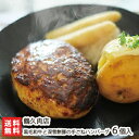 黒毛和牛と深雪餅豚の手ごねハンバーグ 6個入（1個あたり100g）鶴久肉店 産地直送 送料無料【新潟直送計画 惣菜 国産黒毛和牛 おうちごはん ブランド牛 ブランド豚 冷凍食品】