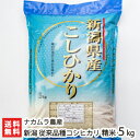 【令和5年度米】新潟産 従来品種コシヒカリ精米5kg ナカムラ農産【白米/うるち米/こしひかり/新潟産/新潟県産】【お土産/手土産/プレゼント/ギフトに！贈り物】【送料無料】 1