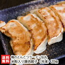 米粉入り豚肉餃子（冷凍）20個 俺の