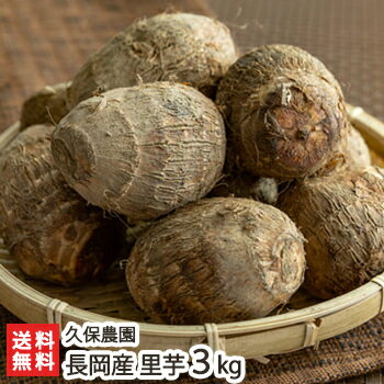 新潟 長岡産 里芋 3kg 久保農園【さといも/サトイモ/新潟産/新潟県産】【送料無料】 お歳暮