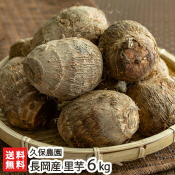 新潟 長岡産 里芋 6kg 久保農園【さといも/サトイモ/新潟産/新潟県産】【送料無料】 お歳暮