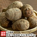 【訳あり】新潟 長岡産 里芋 中玉 5kg 久保農園【さといも/サトイモ/新潟産/新潟県産】【送料無料】