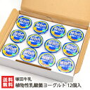 塚田牛乳 植物性乳酸菌ヨーグルト 12個入り【乳製品/豊かなミルクの香り】【送料無料】