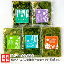 わかとちの山菜漬物・惣菜セット 5種5袋入り(ぱりっこ胡瓜,山菜のしょうゆ漬け,こごみ入り無臭にんにくの酢味噌和え,山うどの油炒め,ふきのとうの酢味噌和え)Mt...