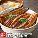 うなぎ 国産 うなぎの蒲焼き 2尾（うなぎの蒲焼き約140g×2、タレ・山椒付き）越後魚屋うなふく ハママンフーズ 生産者直送内祝や父の日ギフトにも！