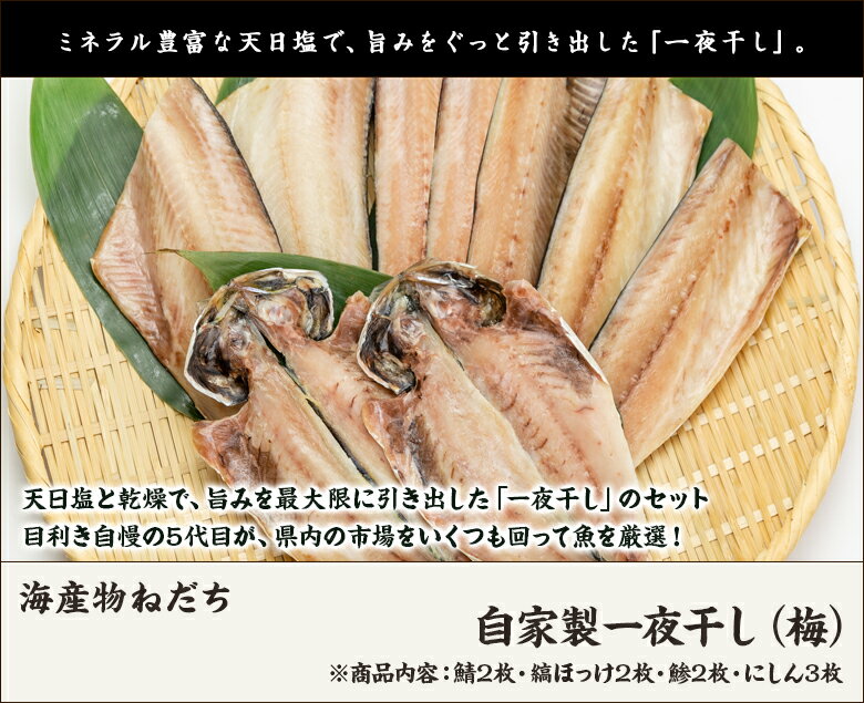 自家製一夜干し（梅）鯖2枚・縞ほっけ2枚・鯵2枚・にしん3枚 海産物ねだち 生産者直送【お取り寄せ サバ ホッケ 鰊 干物】【お土産/手土産/プレゼント/お中元ギフトに！贈り物】【送料無料】