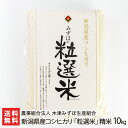 新潟県産コシヒカリ「粒選米」精米10kg（5kg×2袋） 農事組合法人 木津みずほ生産組合 生産者直送 送料無料