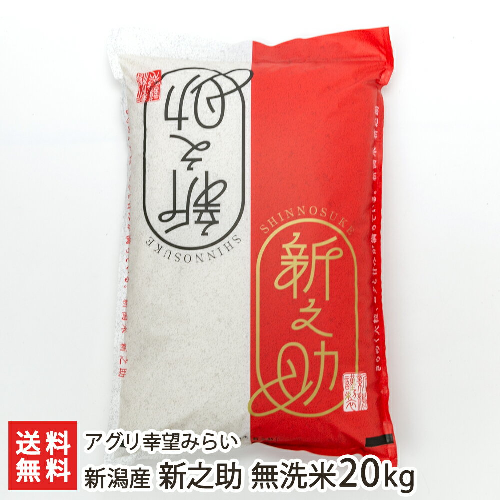 【令和5年度米】新潟産 新之助 無洗米20kg（10kg×2