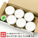 ほんのり甘いおとうふ氷菓 6個入り(付属トッピング:自家製柚子胡椒40g) 京ヶ瀬豆富 まめ工房いとう 新潟産 豆腐 トウフ スイーツ アイスクリーム ジェラー...