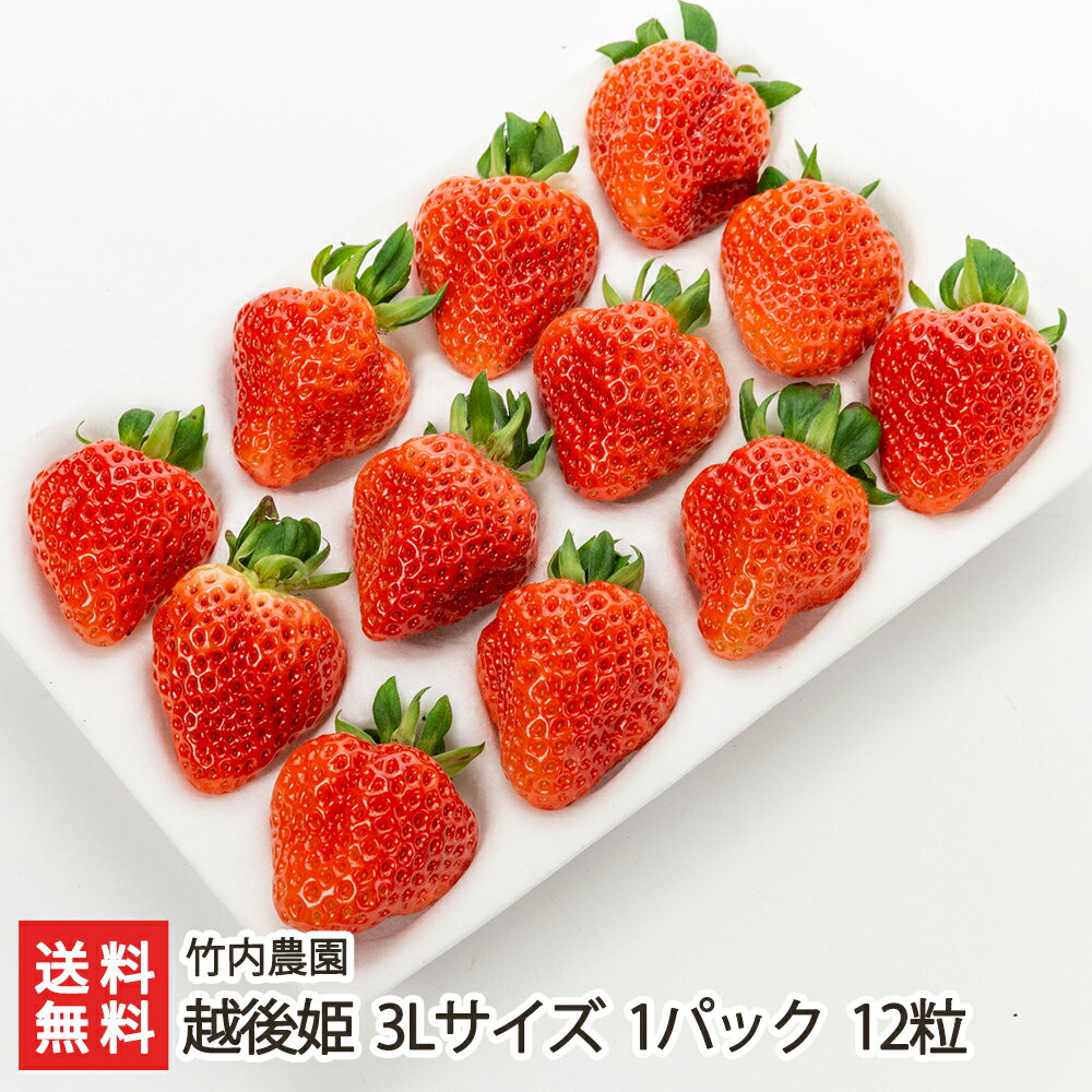 新潟ブランドいちご 越後姫 3Lサイズ 1パック 竹内農園 産地直送 送料無料【新潟直送計画 苺 イチゴ 新潟産 フルーツ 果物 ストロベリー 高糖度 えちごひめ 採れたて発送】のサムネイル