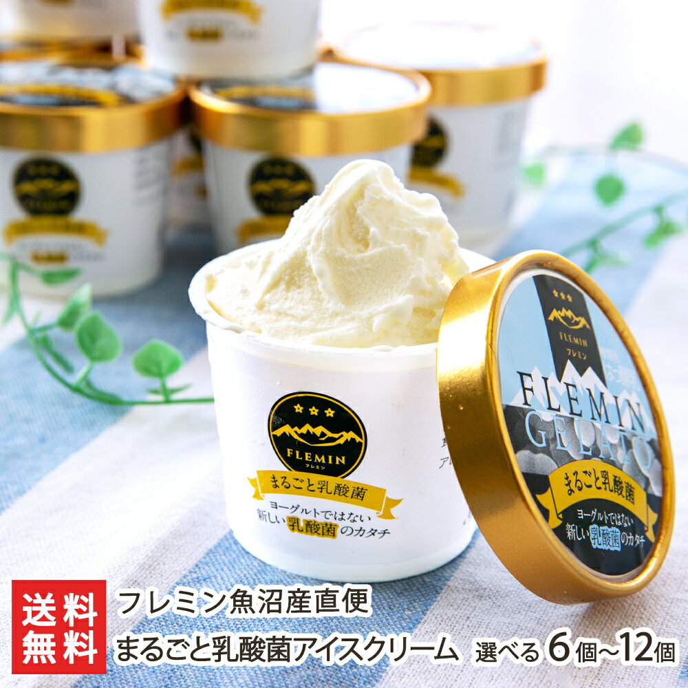 まるごと乳酸菌アイスクリーム「6個入り」or「8個入り」or「12個入り」フレミン魚沼産直便 生産者直送 送料無料【新潟直送計画 スイー..