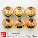 フレミンジェラート オレンジソルベ 6個入り フレミン魚沼産直便 生産者直送 送料無料【新潟直送計画 スイーツ アイス ドルチェ 厳選素材 絶品 新潟産】