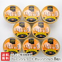 フレミンジェラート オレンジソルベ 8個入り フレミン魚沼産直便 生産者直送 送料無料【新潟直送計画 スイーツ アイス ドルチェ 厳選素材 絶品 新潟産】(4)