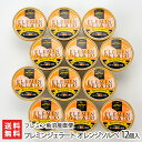 フレミンジェラート オレンジソルベ 12個入り フレミン魚沼産直便 生産者直送 送料無料【新潟直送計画 スイーツ アイス ドルチェ 厳選素材 絶品 新潟産】