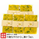 巾着なすのからし漬け 5袋入り 長岡やさい耕房【代金引換決済不可】【新潟直送計画/新潟県産/生産者直送/ナス/茄子/芥子/辛子/つけもの/ 漬物/おつまみ/おか...