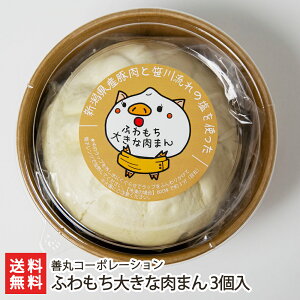 ふわもち大きな肉まん 3個入 善丸コーポレーション 生産者直送 送料無料【新潟直送計画 中華 惣菜 簡単調理】