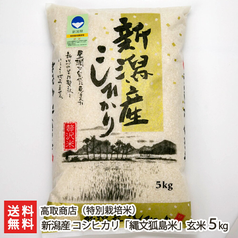 【令和3年度米】新潟産 特別栽培米コシヒカリ「狐島米」玄米5kg 高取商店 産地直送 送料無料【新潟直送計画 こしひかり 無農薬　無化学肥料】