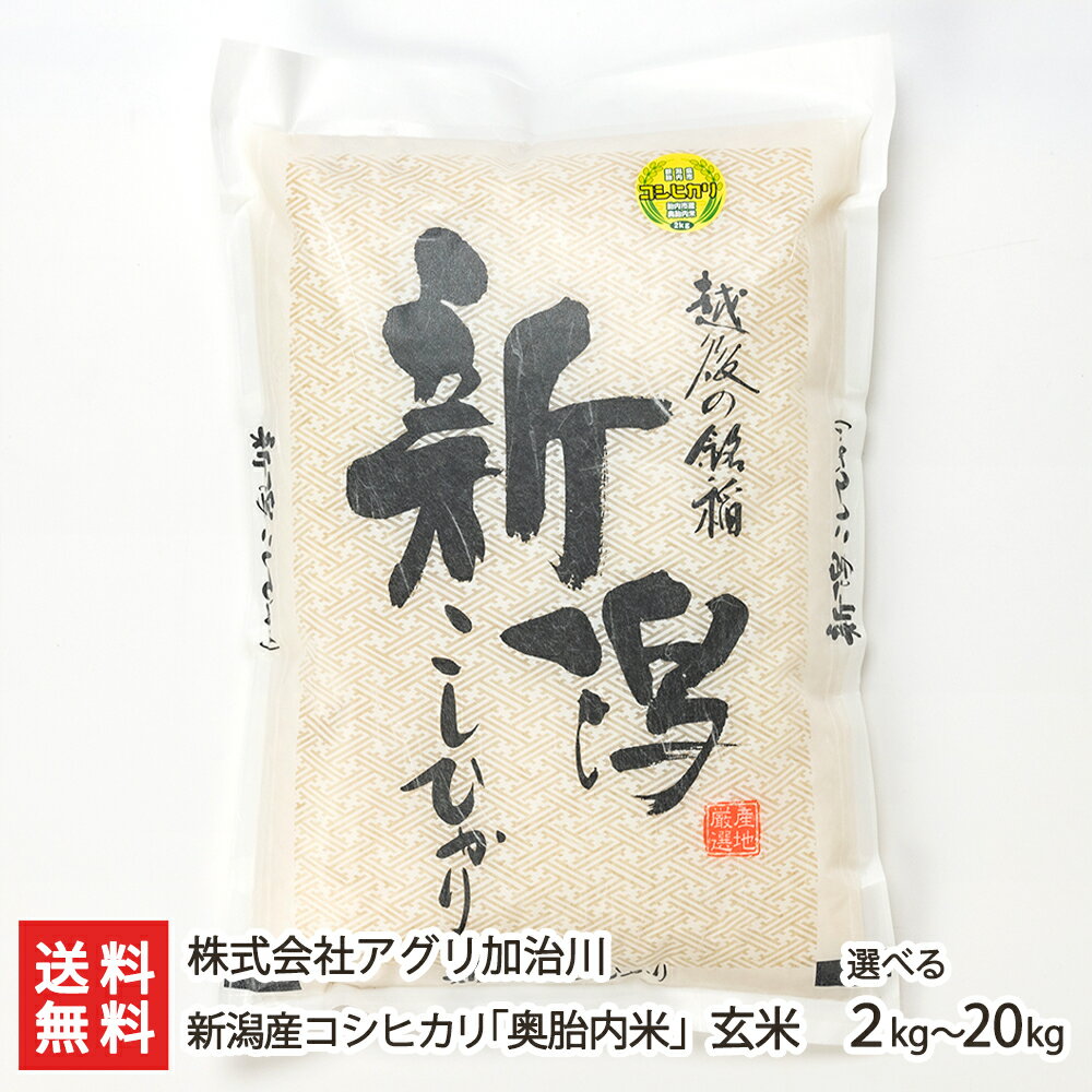 令和5年度米 新潟産 コシヒカリ 奥胎内米 玄米 選べる 2kg ～ 20kg 株式会社アグリ加治川 新潟直送計画 こしひかり ライス 白米 新潟県産 生産者直送 お取り寄せ ギフト プレゼント 贈り物 送料無料 父の日 お中元