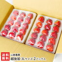 越後姫 3Lサイズ 2パック入り(1パックあたり12粒) 山倉農園【新潟直送計画/いちご/イチゴ/ストロベリー/フルーツ/新潟産】