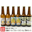 沼垂ビール「フルーツビール」6本セット（白根ル・レクチェビール・文旦ウィートエール・五泉アロニアエー ...