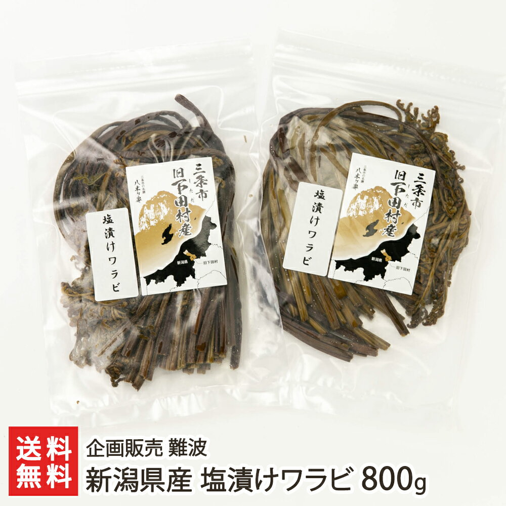 新潟県産 塩漬けワラビ 800g（200g×4パック） 企画販売 難波 生産者直送 送料無料【新潟直送計画 山菜 わらび 蕨生 天然 アク抜き不要 山の幸】