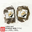 新潟県産 塩漬けワラビ 選べる「400g」or「800g」企画販売 難波 新潟直送計画 山菜 わらび 蕨生 天然 アク抜き不要 山の幸 新潟県 生産者直送 お取...