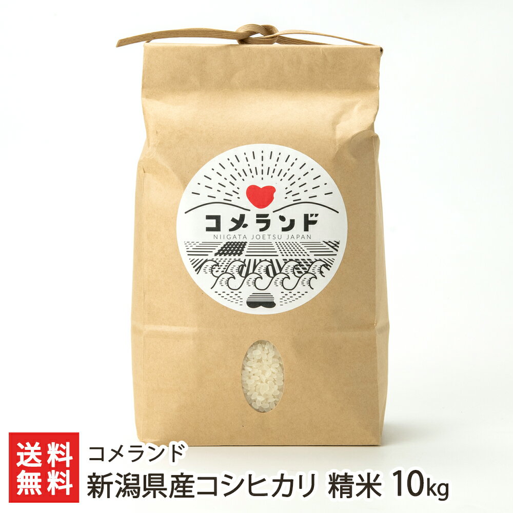 【令和3年度米】新潟県産コシヒカリ 精米10kg（5kg×2袋） コメランド 産地直送 送料無料【こしひかり ライス 白米 うるち米 上越 高田平野 おにぎり おむすび お弁当 】