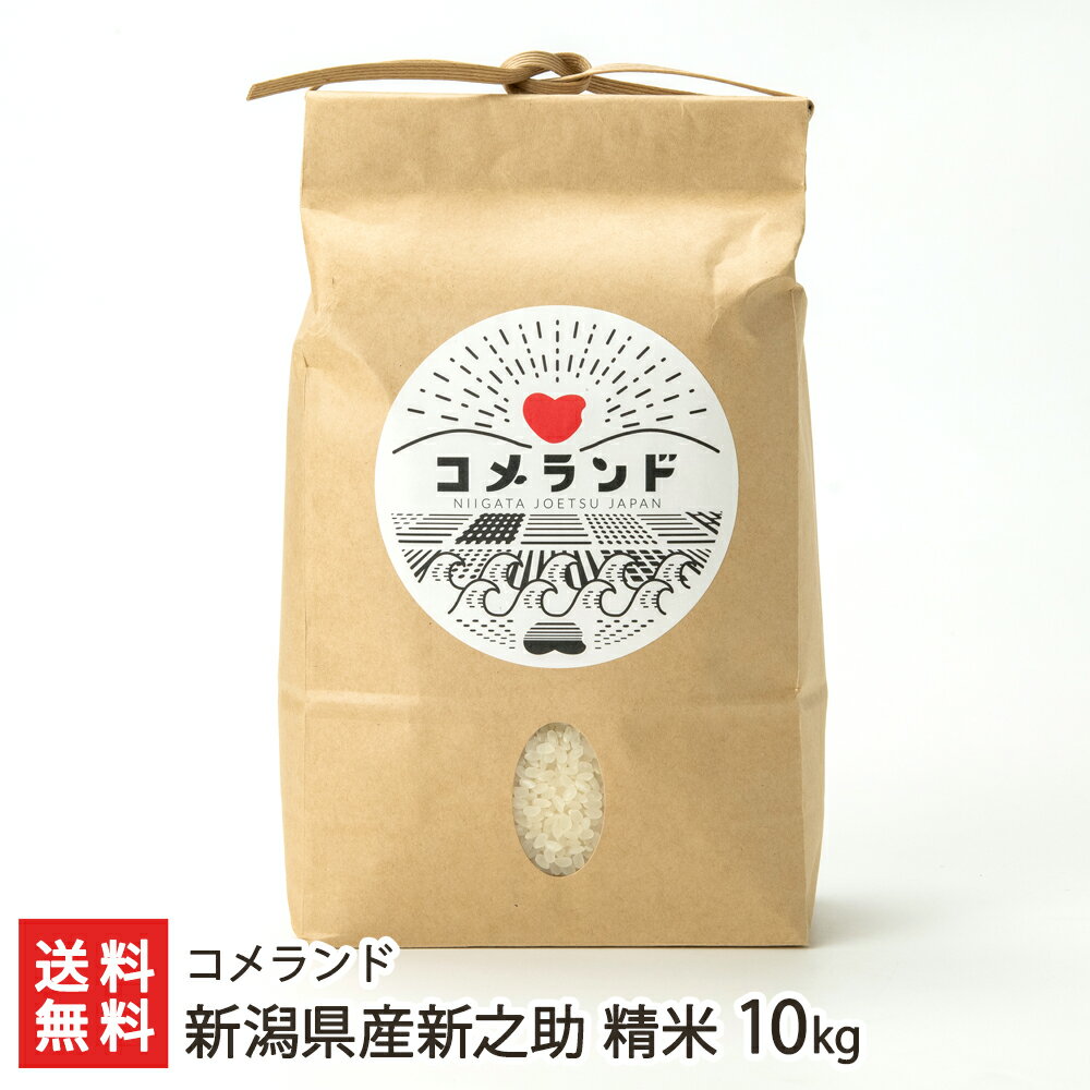 【令和5年度米】新潟県産新之助 精米10kg（5kg×2袋） コメランド 産地直送 送料無料【しんのすけ ライス 白米 うるち米 上越 高田平野 ..