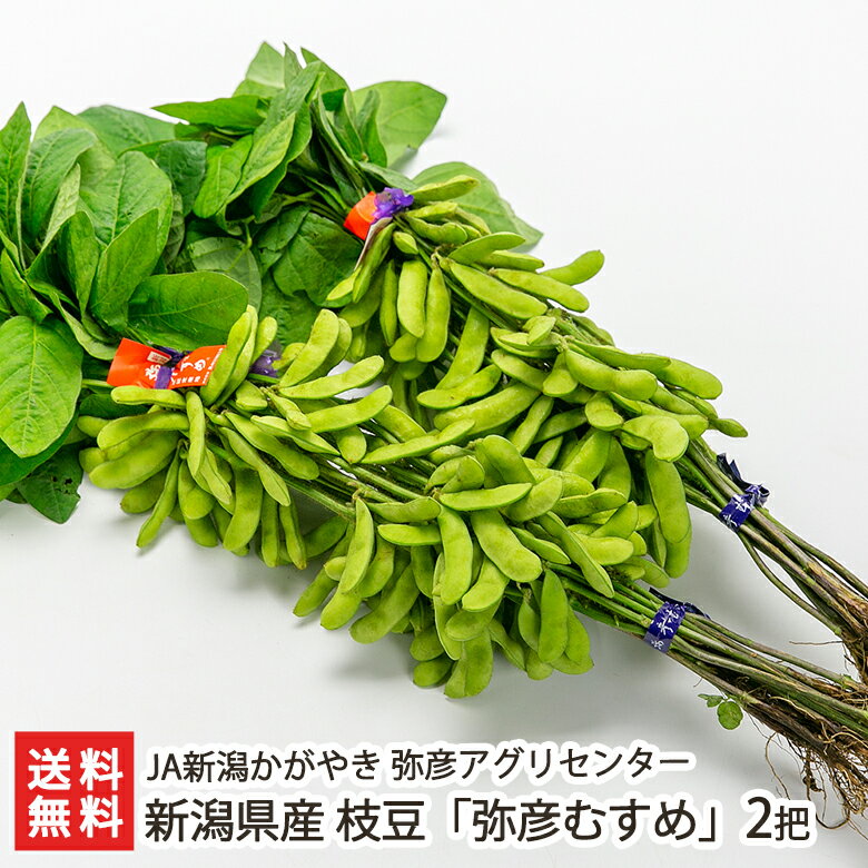 【ふるさと納税】【令和6年産 先行予約】鶴岡市特産 朝採りだだちゃ豆 2kg×4回 8月中毎週お届け