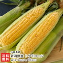 新潟県産 トウモロコシ 選べる「5本入り」or「10本入り」小林農場 とうもろこし 玉蜀黍 スイートコーン わくわくコーン ドルチェドリーム 恵味 ゴールドラッシュ 有機質肥料 循環型農業 新潟県 生産者直送 お取り寄せ 送料無料