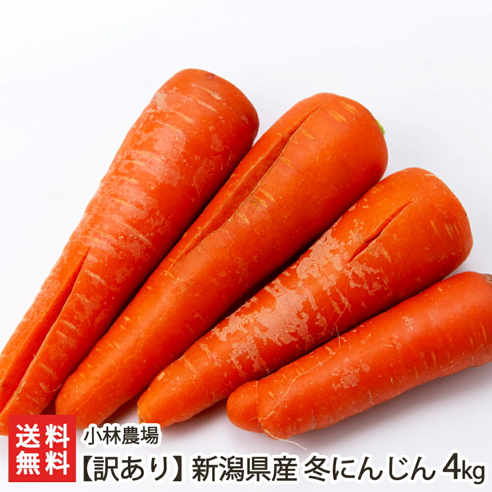 【訳あり】新潟県産 冬にんじん 4kg 小林農場 【新潟直送計画/人参/ニンジン/生食/野菜スティック/サラダ/ポタージュ/有機質肥料/循環型農業】【お土産/手土産】【送料無料】