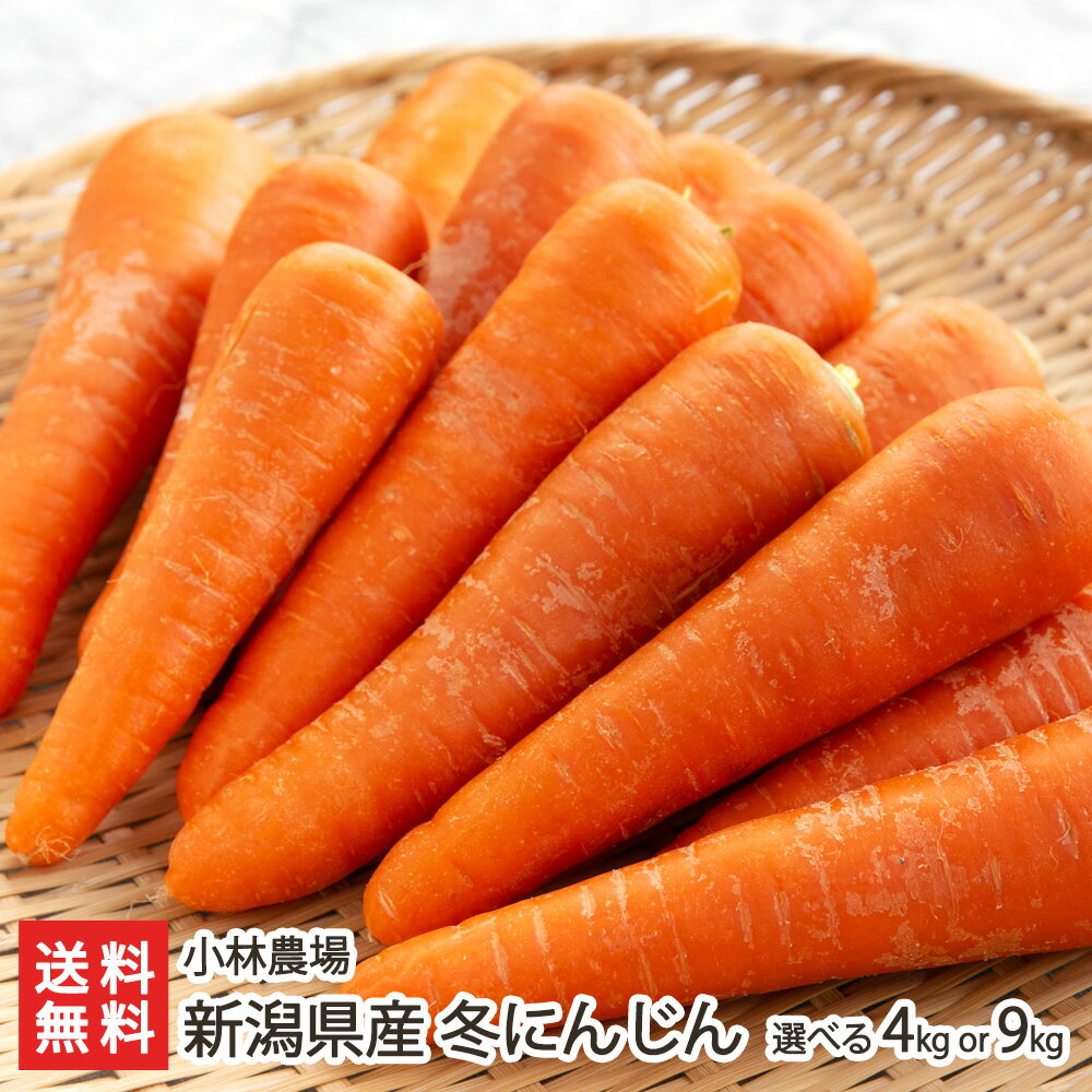 新潟県産 冬にんじん 選べる「4kg」 or「9kg」 小林農場 人参 ニンジン 生食 野菜スティック サラダ ポ..