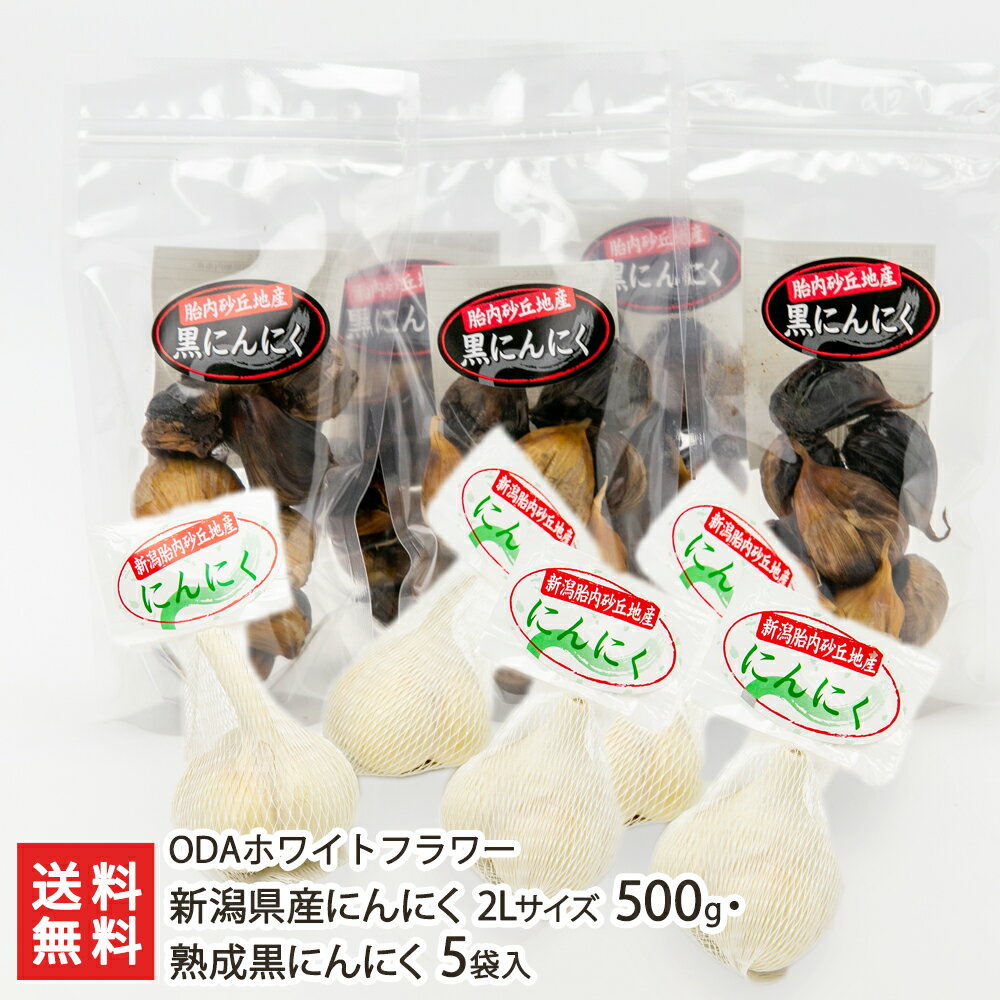 新潟県産にんにく 2Lサイズ 500g（5～6玉）・熟成黒にんにく 5袋入り ODAホワイトフラワー 産地直送 送料無料【新潟直送計画 ニンニク 大蒜 ホワイト六片 大粒 臭いが残りにくい】 父の日 お中元