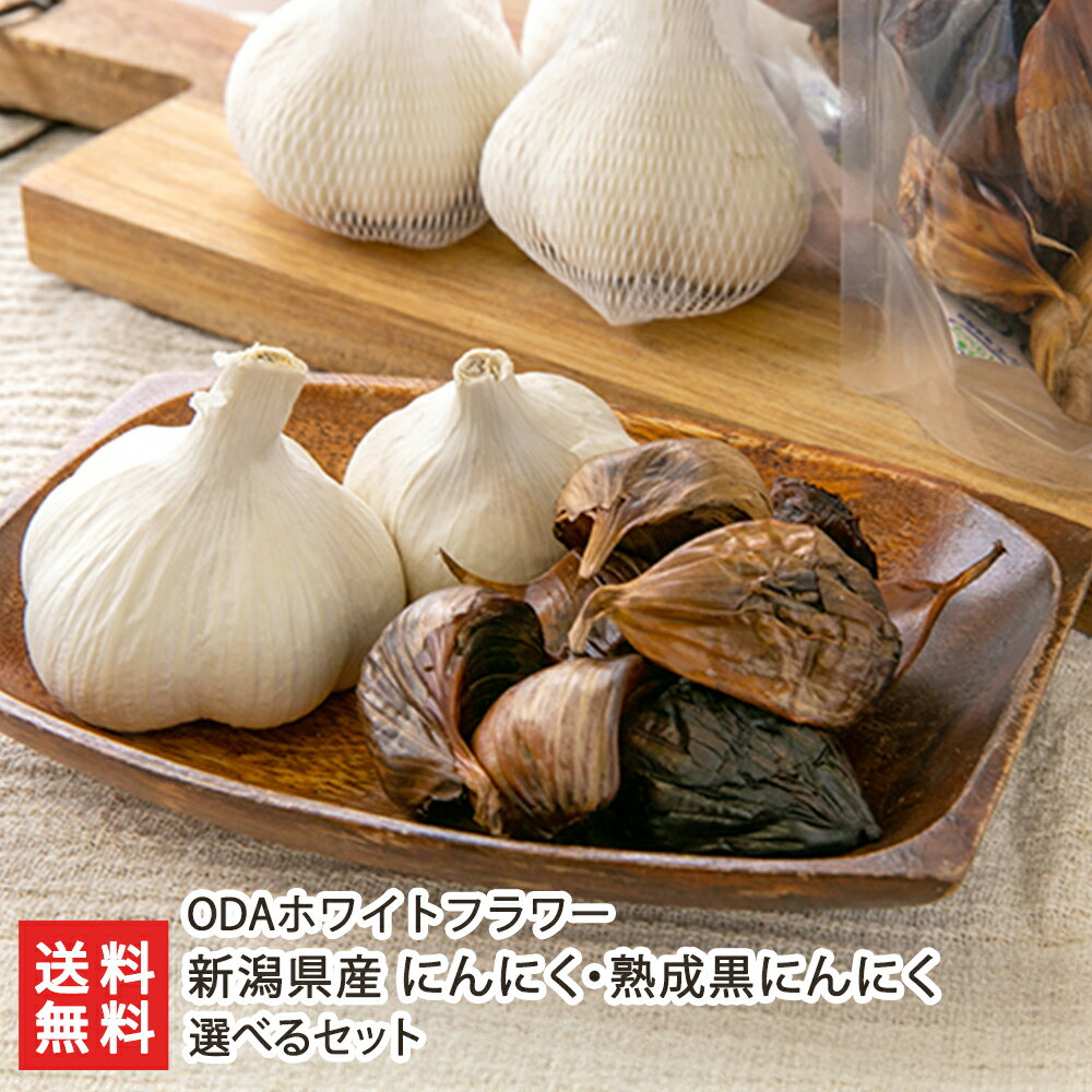 新潟県産にんにく・熟成黒にんにく 選べるセット ODAホワイトフラワー 生ニンニク 黒ニンニク ニンニク 大蒜 ホワイト六片 大粒 臭いが残りにくい 新潟県 生産者直送 お取り寄せ ギフト プレゼント 贈り物 送料無料