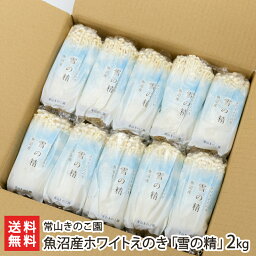 魚沼産ホワイトえのき「雪の精」2kg（200g×10パック） 常山きのこ園 産地直送 送料無料【キノコ 茸 エノキ 榎茸 シャキシャキ 味噌汁 鍋】